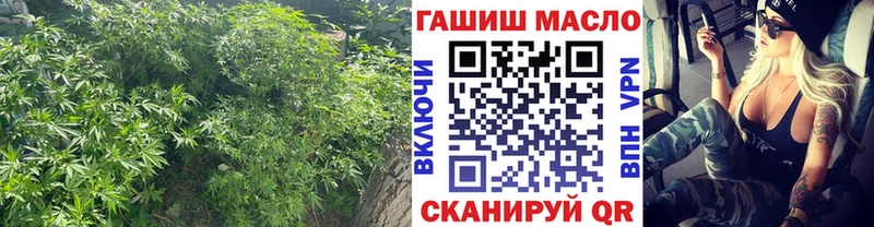 купить   omg   Дистиллят ТГК концентрат  Пошехонье 